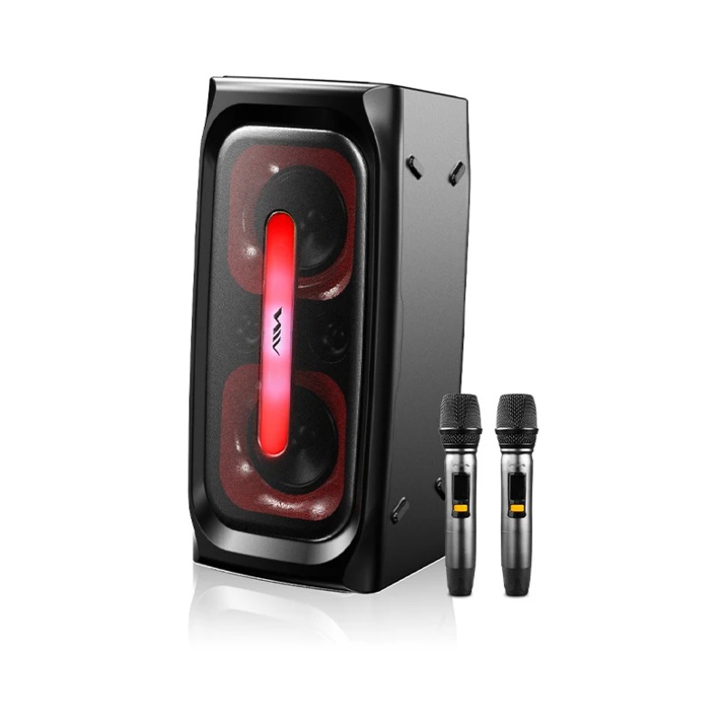Speakers - Aihua SS-X300DSP PRO Hochwertiger Sport- und